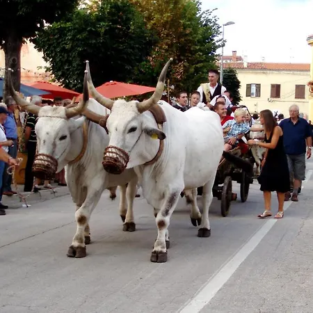 Villa Visnjan Residence