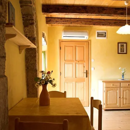 Apartment Villa Visnjan Residence