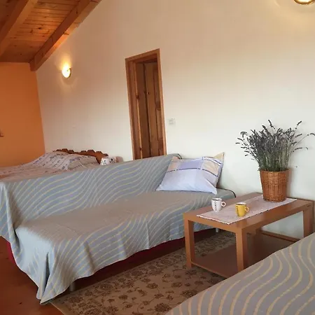 Villa Visnjan Residence * Višnjan