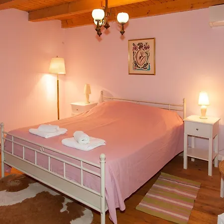 公寓 Villa Visnjan Residence Višnjan
