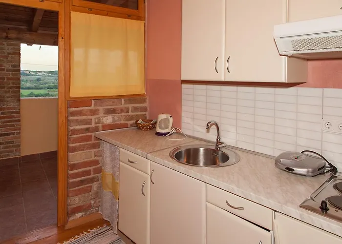 아파트 Villa Visnjan Residence