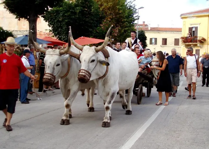 Villa Visnjan Residence
